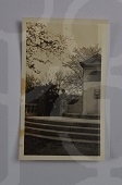 1932年宋庆龄与黎沛华等人在上海兆丰公园的合影