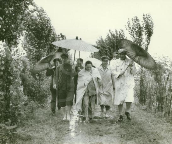 1955年6月宋庆龄在松江县农村视察留影