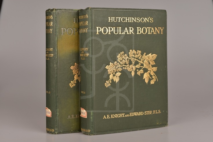 《哈钦森氏大众植物学》（Hutchinson's Popular Botany）