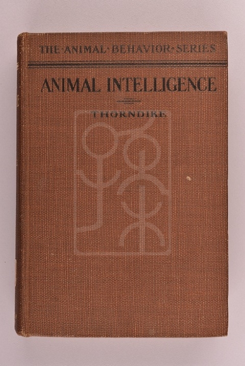 1911年版《动物智能——实验研究》（Animal Intelligence：Experimental Studies） 